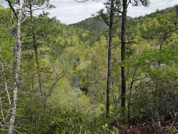 A View of Weogufka Creek Canyon