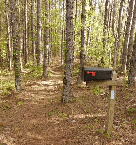 South Terrapin Register Mailbox