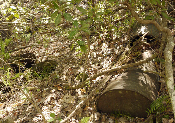 Steel Drum Dump at Pinhoti Creek Crossing