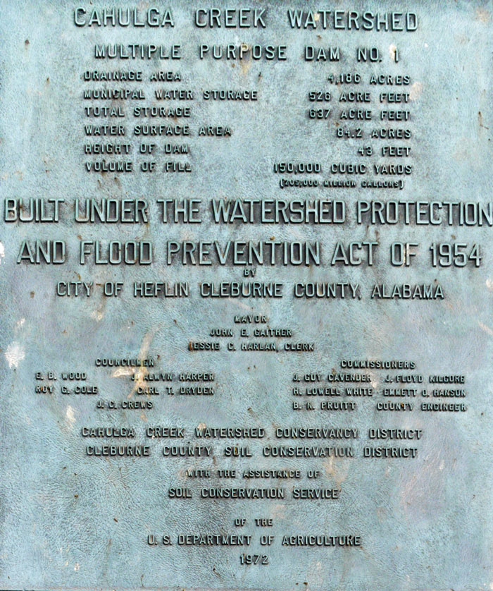 Plaque