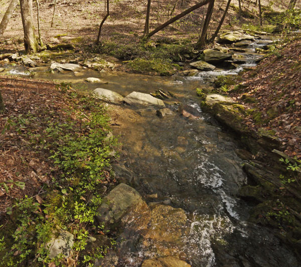 Lower Shoal Shelter Creek Confluence