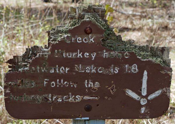 Chewed Pinhoti Sign Near Shoal Creek Church