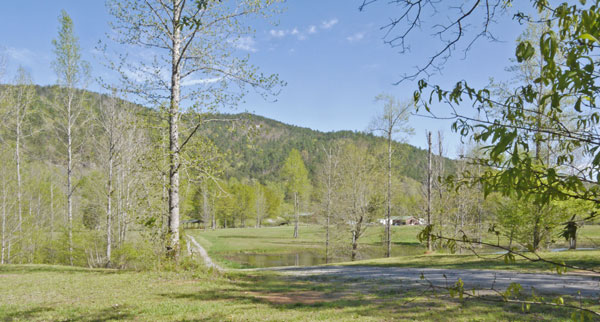 Grassy Chief Ladiga Campground