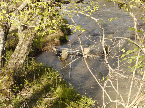 Erosion notch in the north bank.