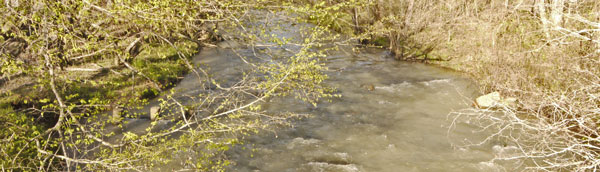 First Hurricane Creek Crossing.