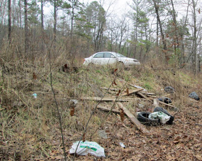 Trash at Bull Gap / FR675