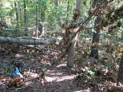 Blowdown North of I20