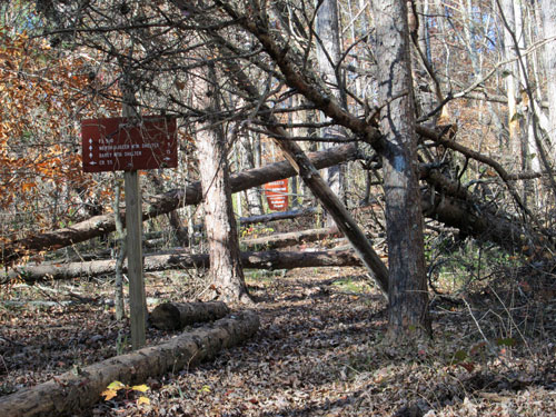 Rabbittown Road crossing east of Pinky Burns Place