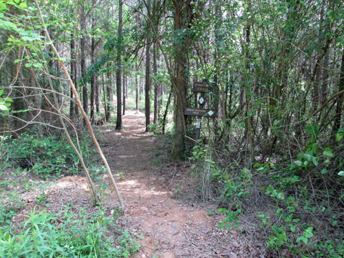 Old Jackson Chapel Road, Great Eastern Trail Blazes, Signage